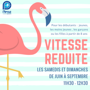 Sessions de téléski nautique à vitesse réduite pour les débutants à partir de 8 ans